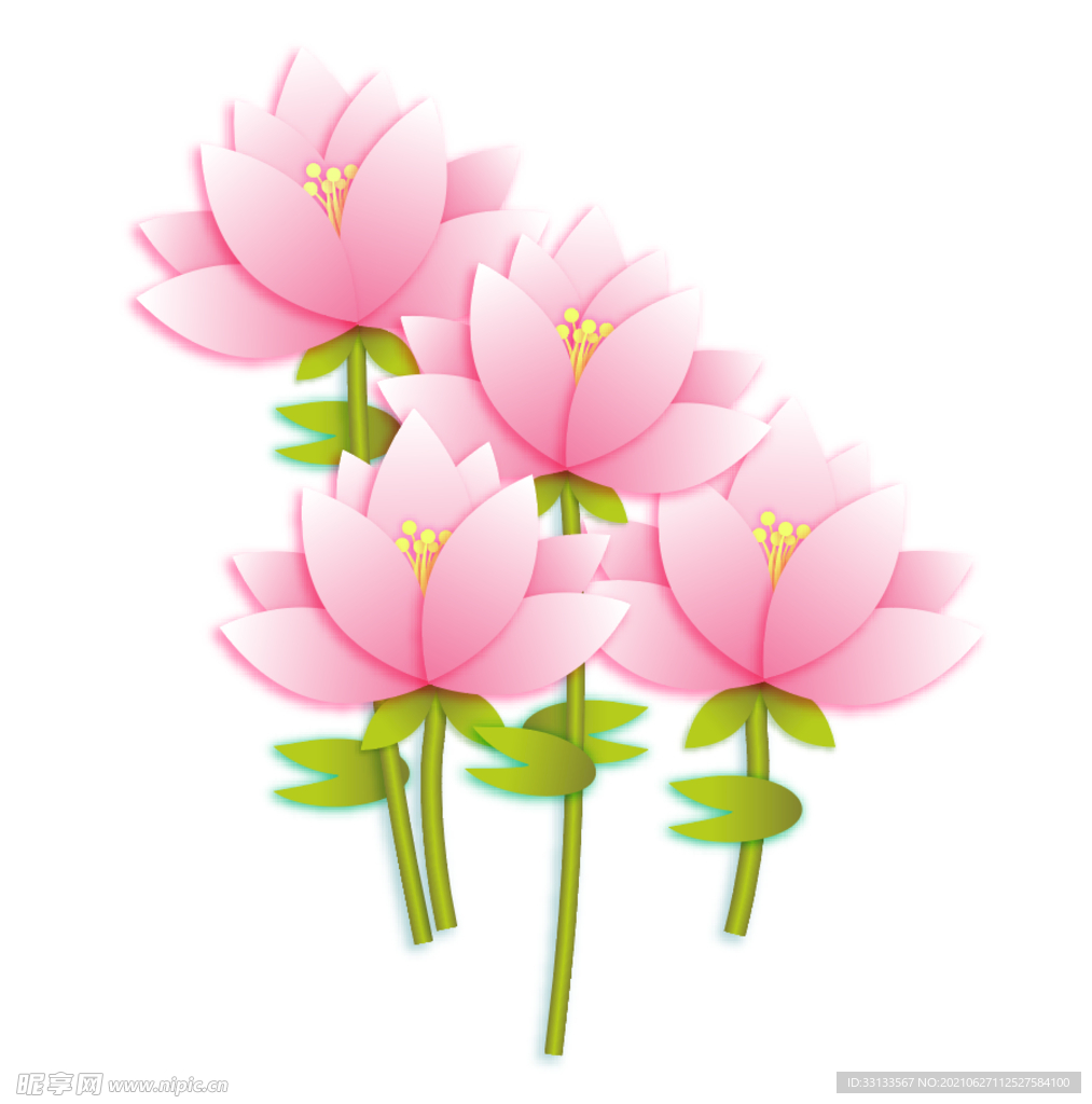 荷花