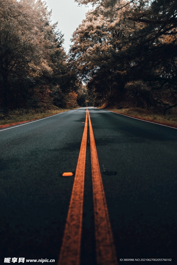 道路背景