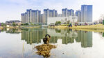 湖畔风景