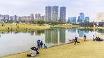 风景如画