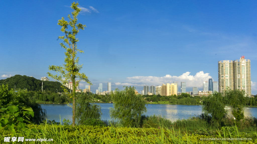 风景如画
