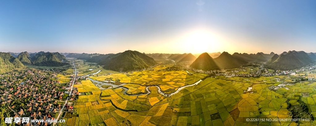 麦田 水稻 鱼米之乡 自然景观