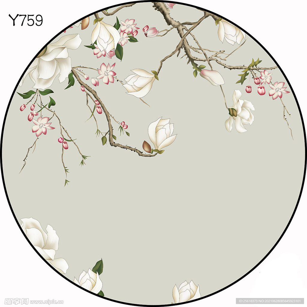 圆Y759