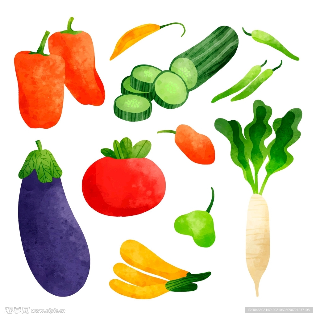 手绘蔬菜矢量设计素材