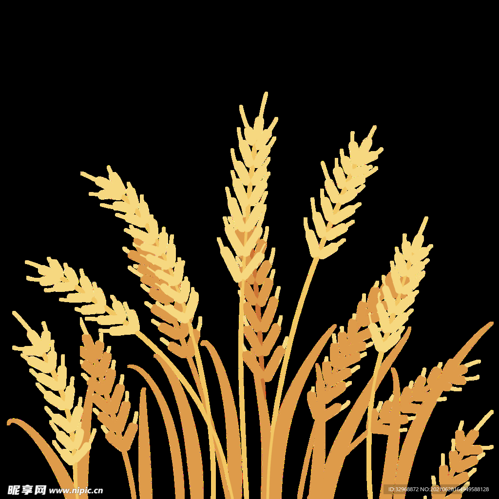 花纹