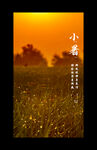 小暑节气海报