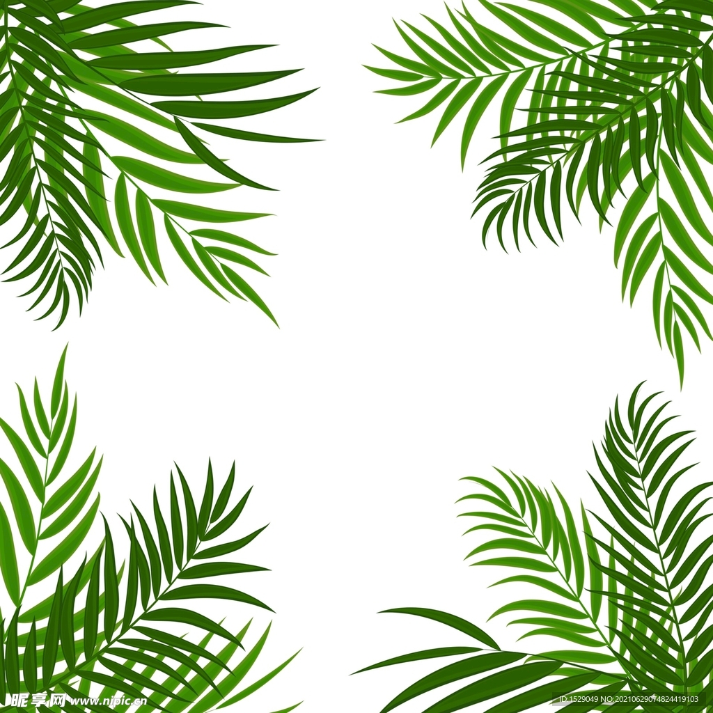 叶子底纹  