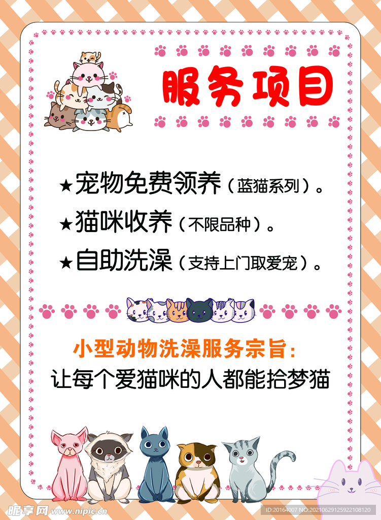 猫咪服务项目