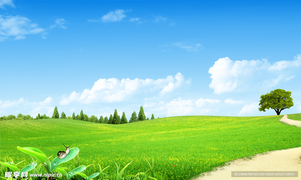 蓝天白云绿草地背景