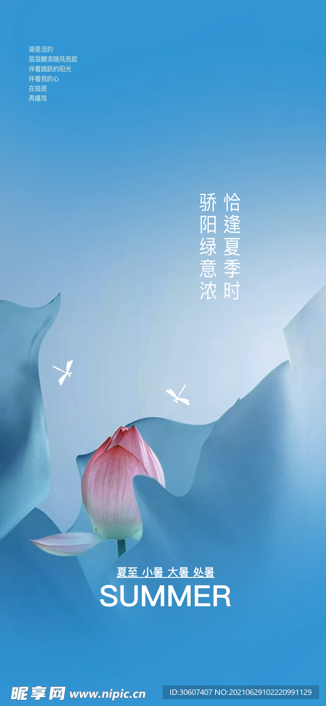 小暑节气日海报