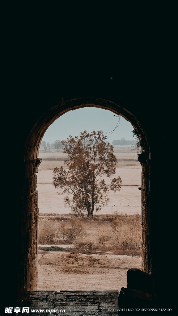 门口的风景