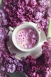 花茶