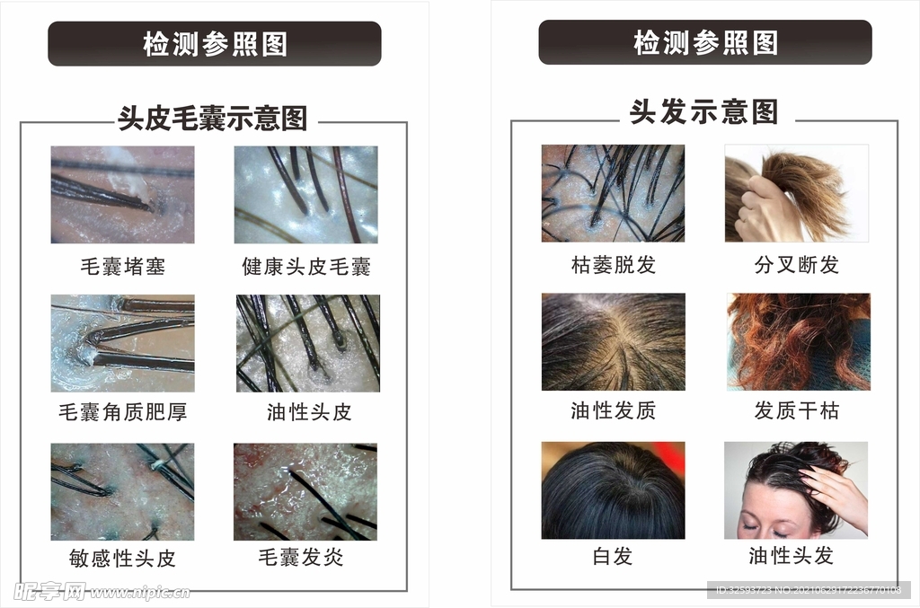 头发分析图