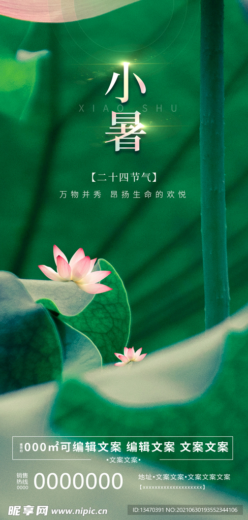 小暑节气海报