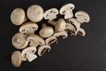 野生蘑菇