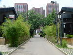 竹林小院与大厦