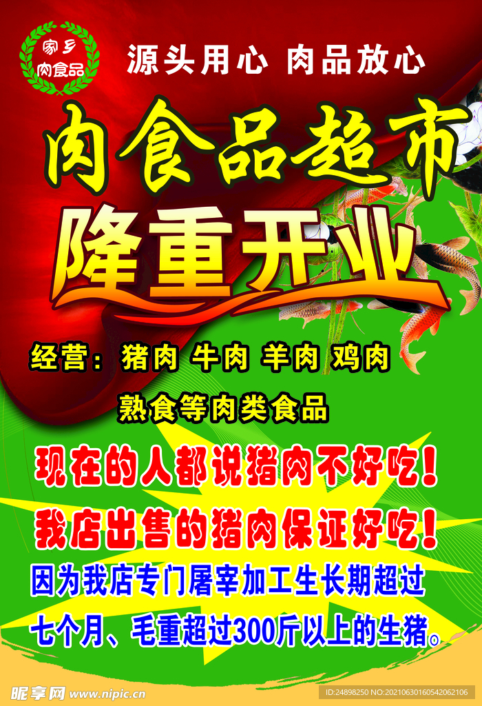 猪肉 宣传 彩页 