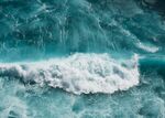 海