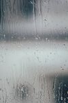 雨
