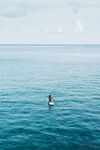 海