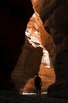 山