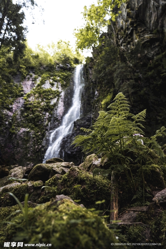 风景