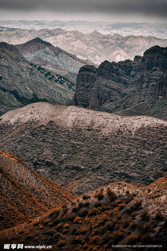 风景