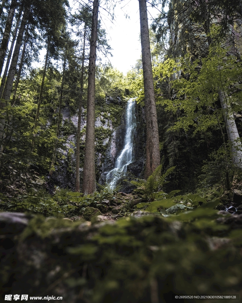 风景