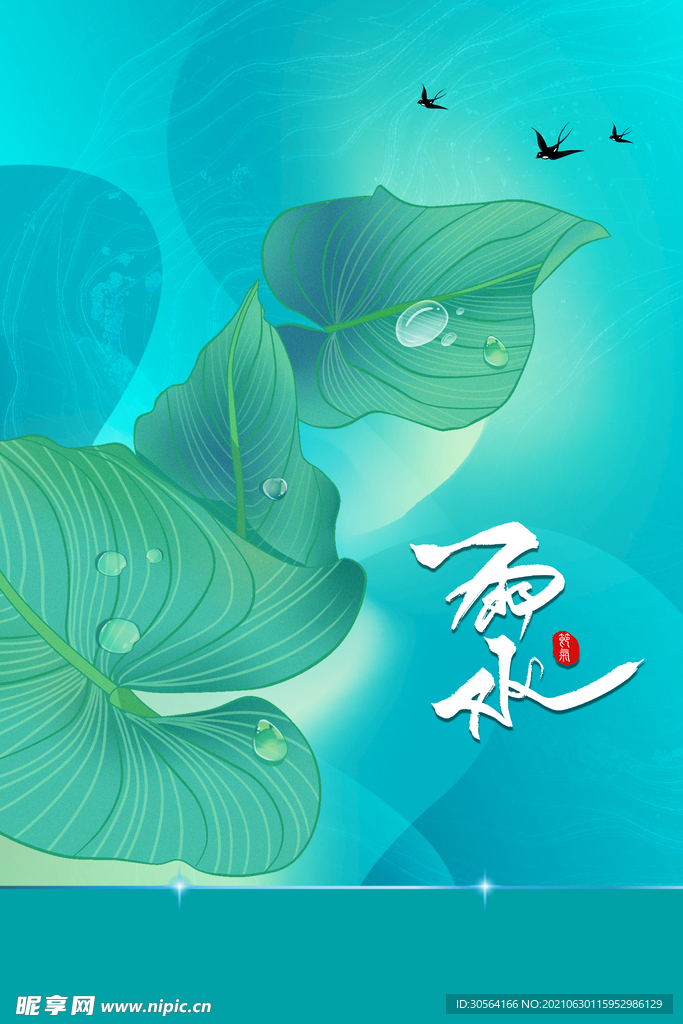 雨水节气传统活动宣传海报素材