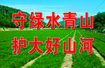 绿水青山