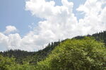 香格里拉