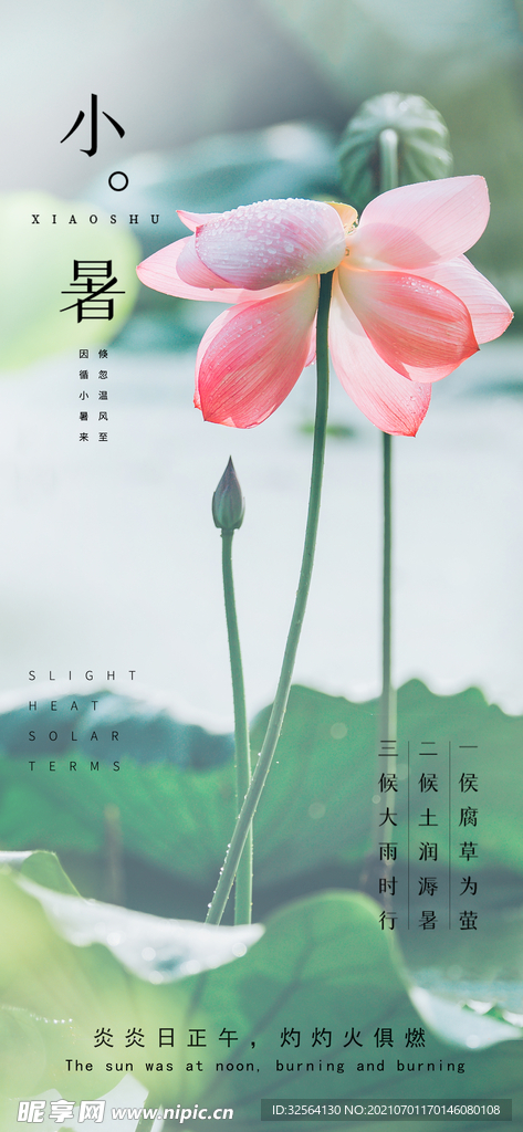 小暑节气海报