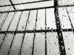 雨滴