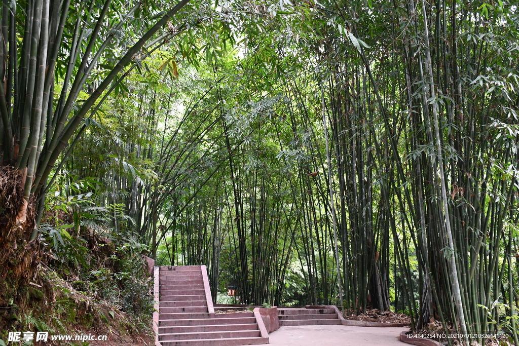 蜀南竹海