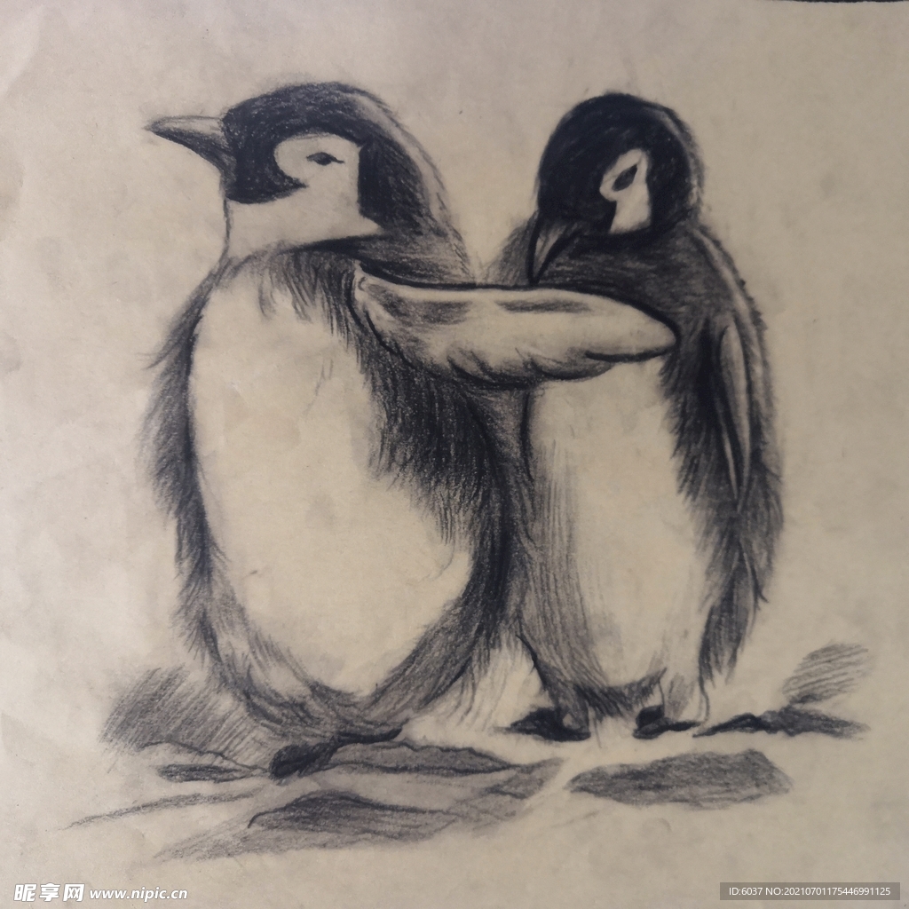 小企鹅的画法步骤教程 简笔画步骤图片💛巧艺网
