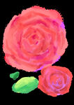 透明底手绘水彩玫瑰