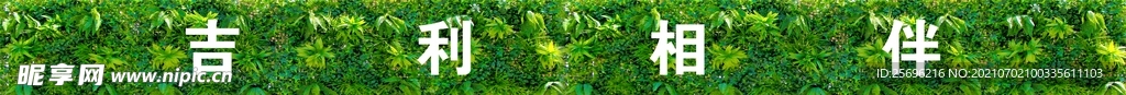 植物墙