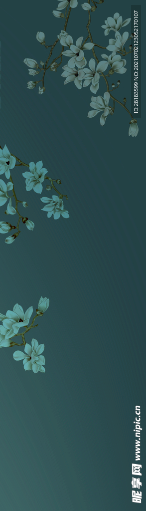 玉兰花