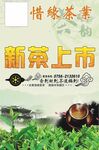 新茶上市