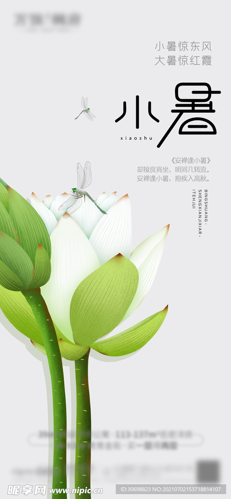 小暑 节气