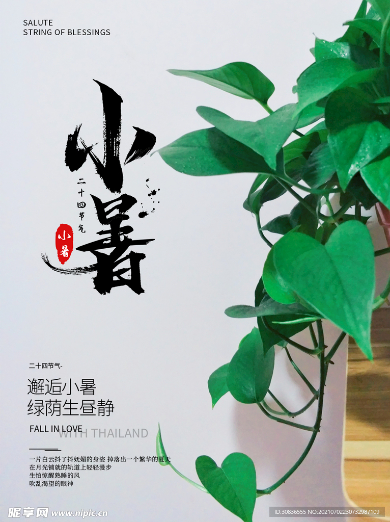 小暑海报
