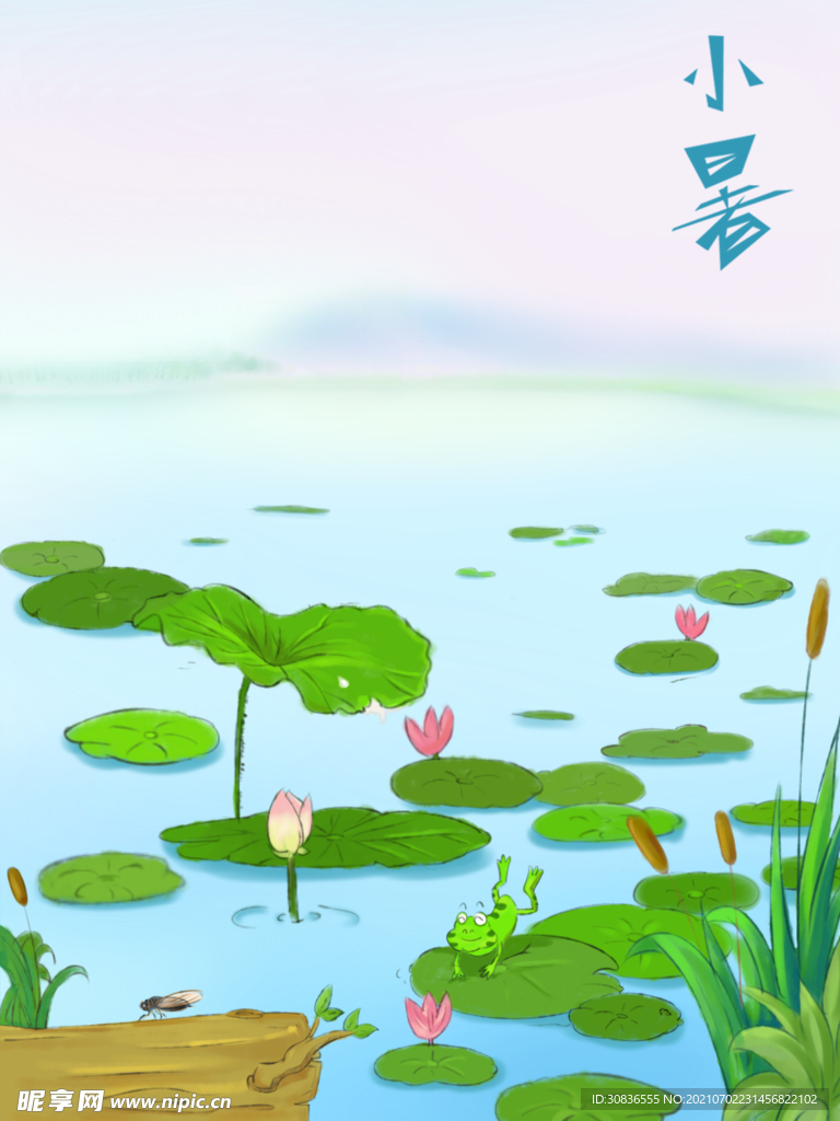小暑海报 