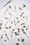 花束