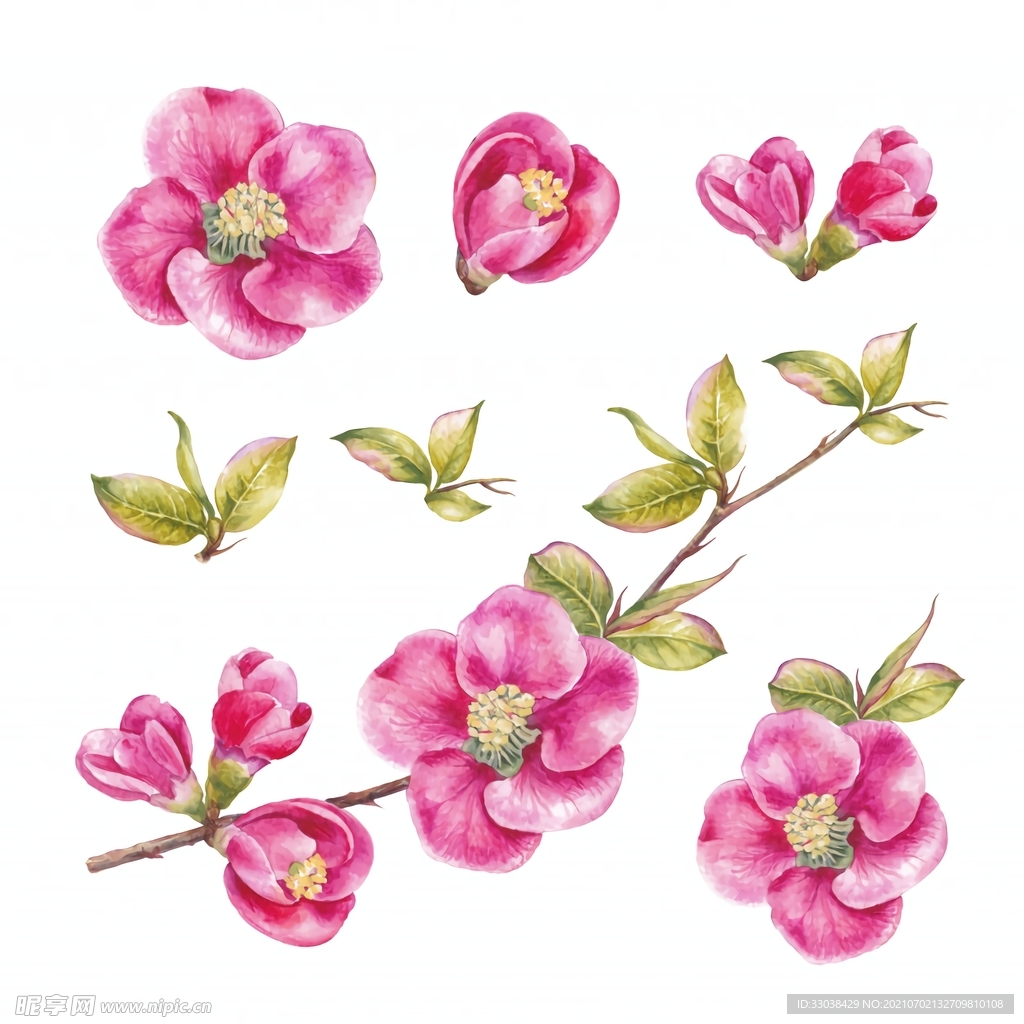 手绘花朵 小花  梅花 桃花 