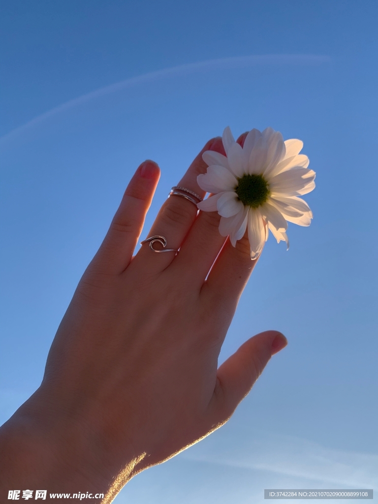 手上花