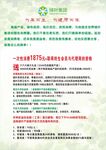 绿叶集团