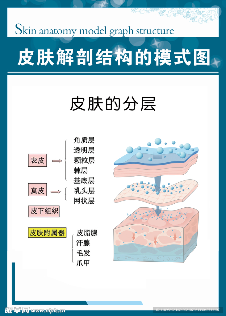 广告海报设计