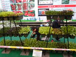 寿光蔬菜博览会