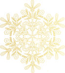 金色闪耀雪花