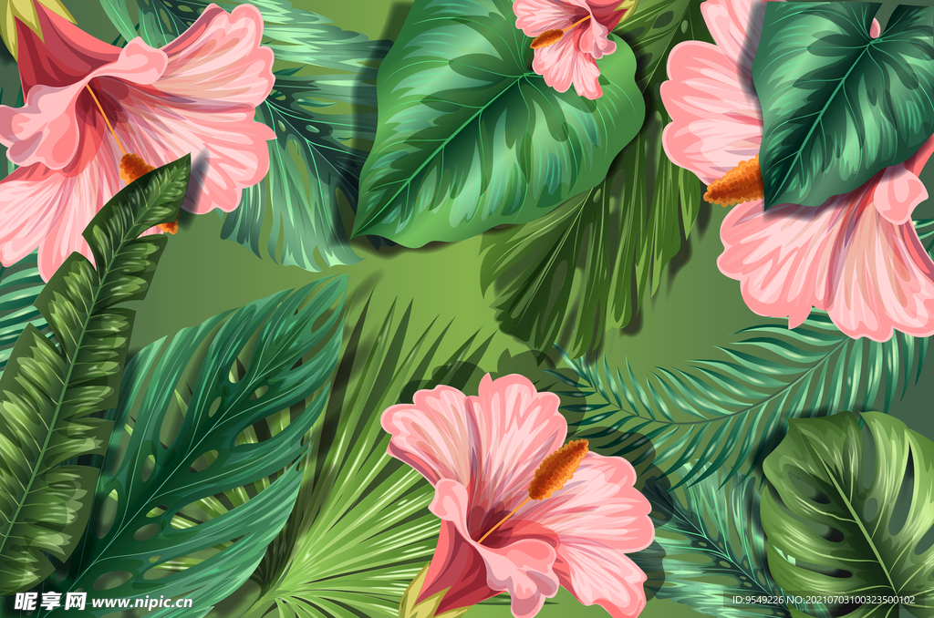夏天花卉热带植物缤纷多彩素材